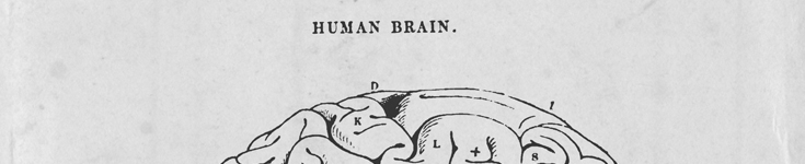 Hunter-type Brain